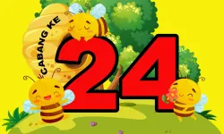 Beehive ke 24